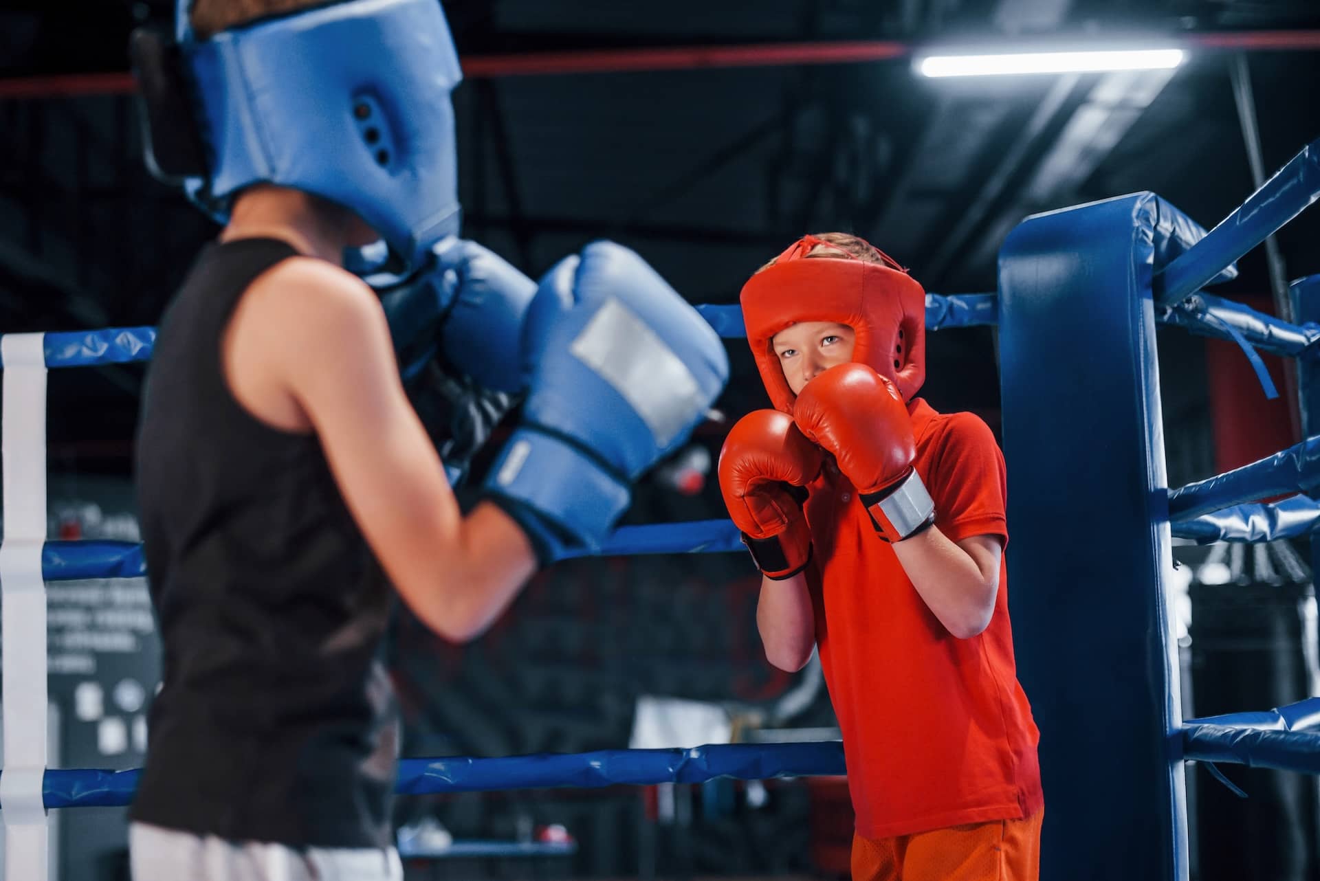 boxing_317534016 (1)