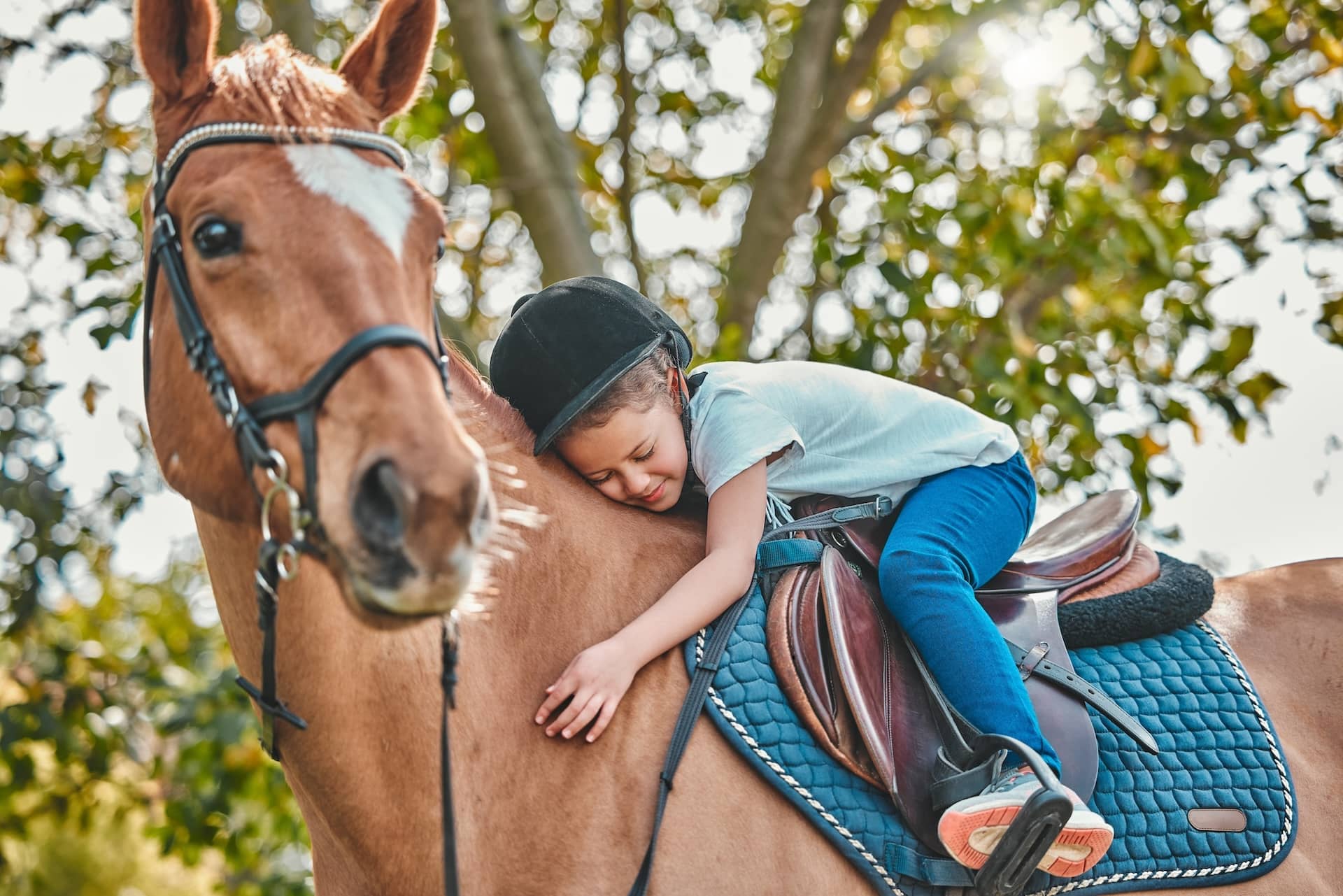 equestrian_683319032 (1)