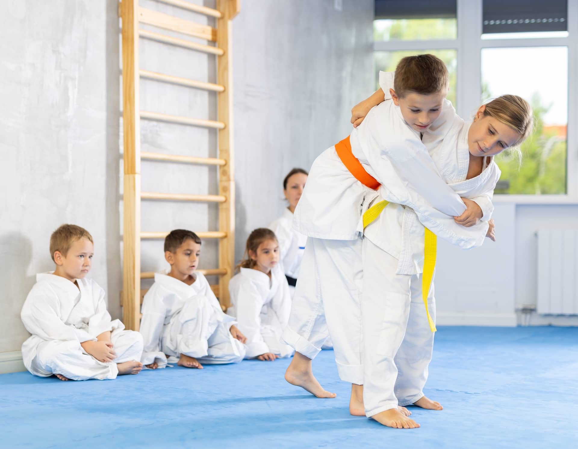 jiu jitsu_677363392 (1)