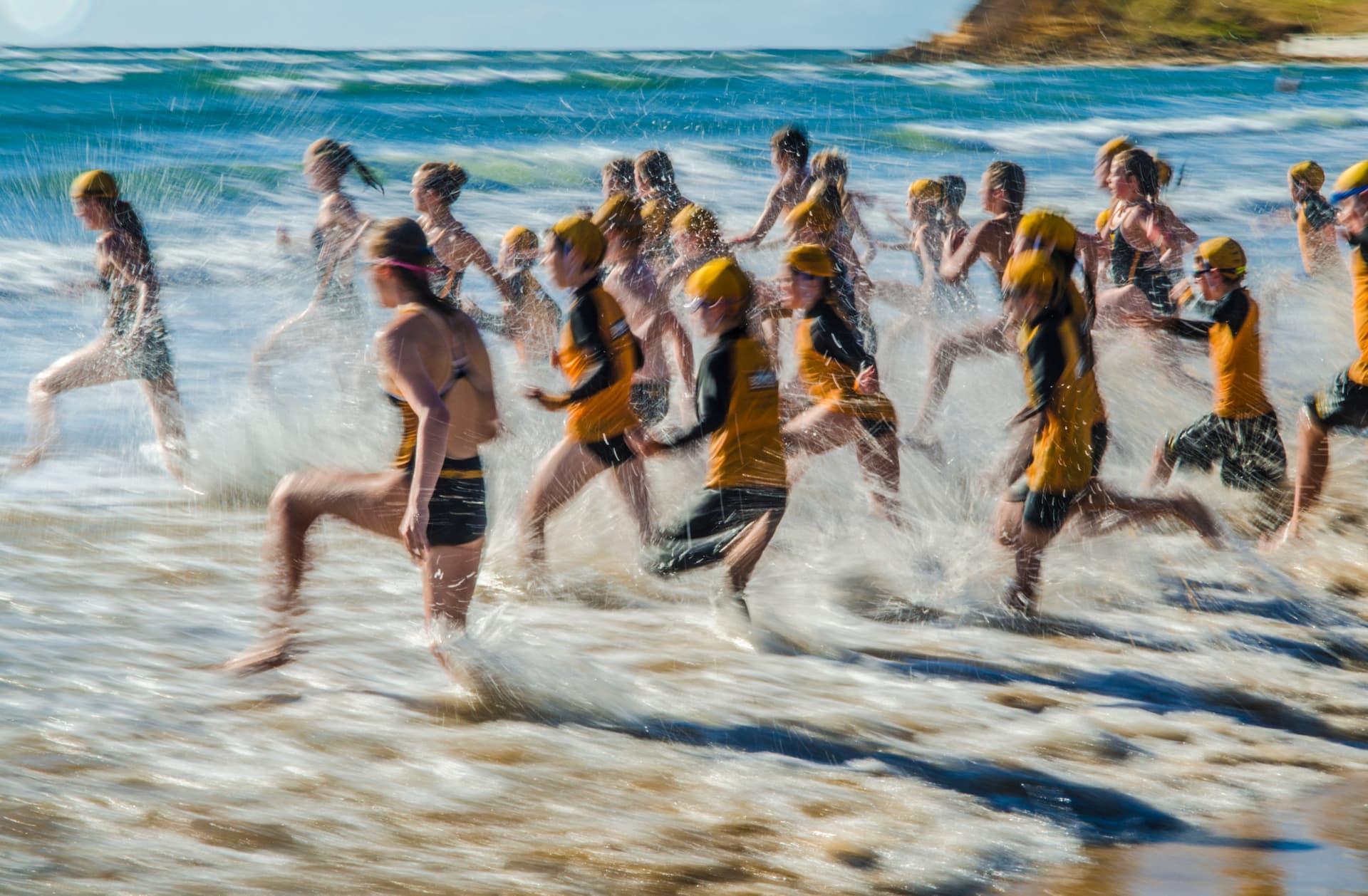 Nippers