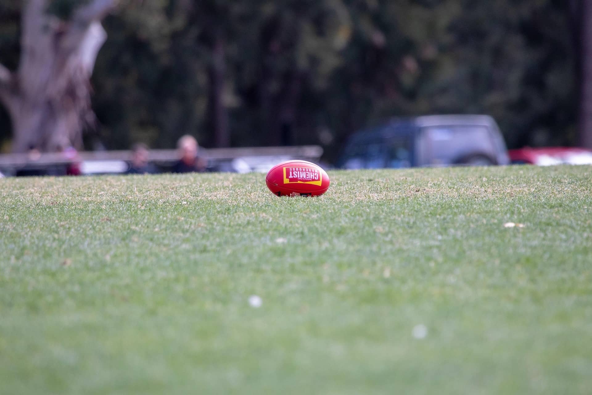 squirrel_photos-afl-3395694_1920 (1)