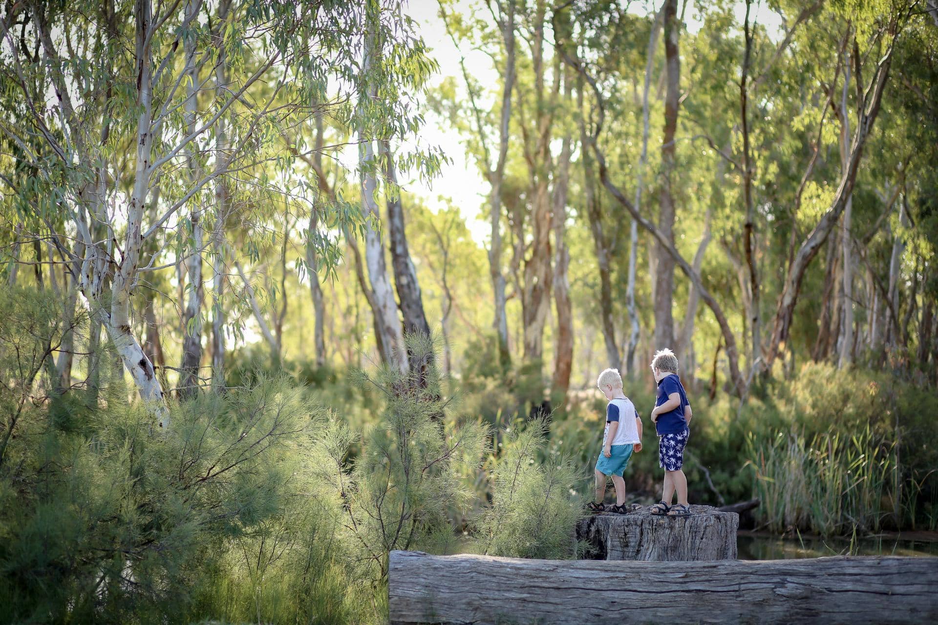 bushwalk_427119870